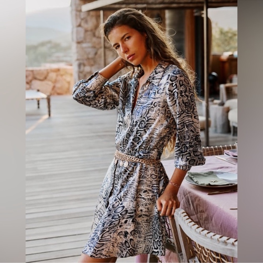 Zara mini dress animal print